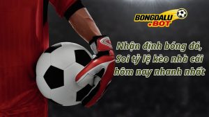 Bongdalu nhận định bóng đá