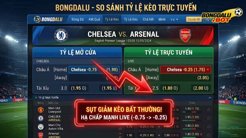 Đọc Vị Kèo Macao: Cách Né Kèo Dụ Trên Bongdalu Chuẩn Xác #1 Đọc Vị Kèo Macao: Cách Né Kèo Dụ Trên Bongdalu Chuẩn Xác #1